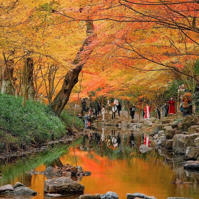 大河背風景區 🌊～天然的淨土 🏞️