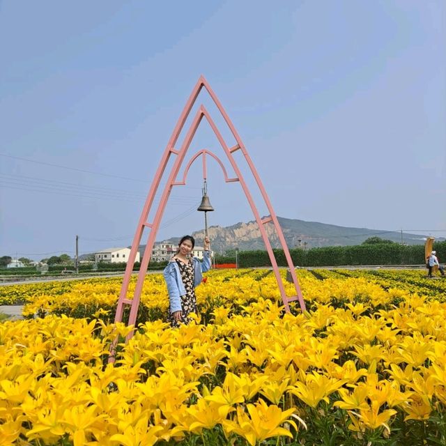 altTitle