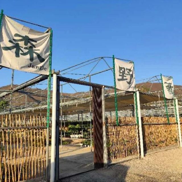 元朗錦田🫶🏻 圍爐煮茶