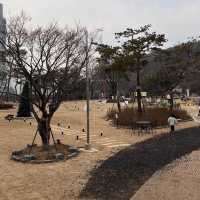 경기도 갈만한곳 화성 - 까페밀마