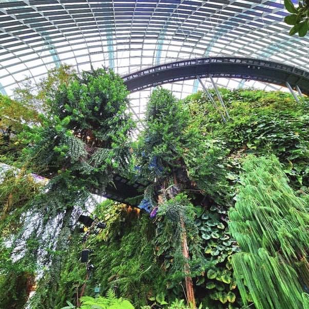 Clound Forest At Garden By the Bay