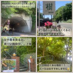 Itsuki Garden User Photo