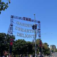 Fringe Festival 🎪🎡🤹