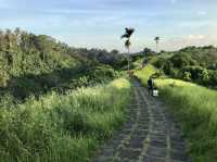 Campuhan Ridge Walk in Bali