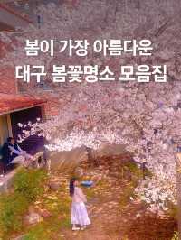 전국에서 가장 아름다운 대구 봄꽃명소🌼