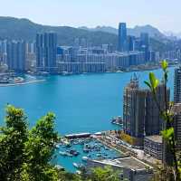 Easy hike with typhoon shelter seaview