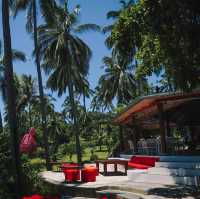 The Jungle Club ชมวิวเกาะสมุยแบบพาโนรามา