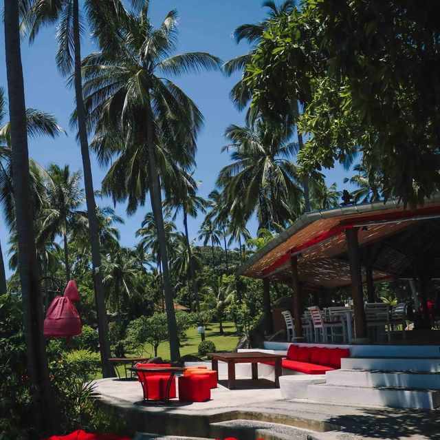 The Jungle Club ชมวิวเกาะสมุยแบบพาโนรามา
