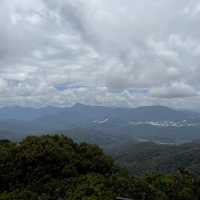 Breathe in fresh air at Mossy Forest Cameron 
