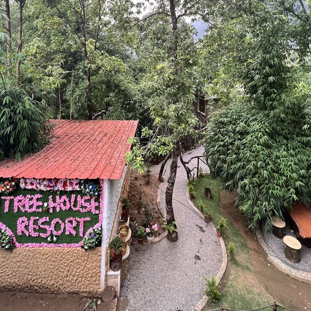 Tree House Resort