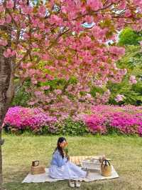 하남 미사경정공원에서 겹벚꽃 피크닉🌸