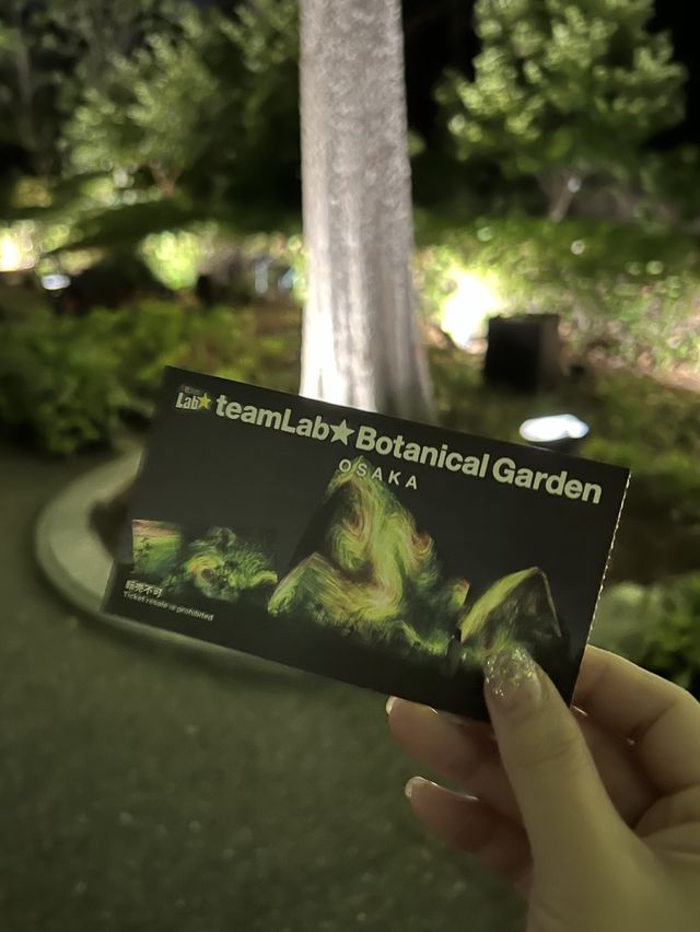 期間限定♥️大阪TeamLab✖️粉蝶花海