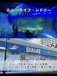 絶対にハズさないシドニー観光スポット7選🇦🇺