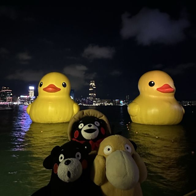 Yellow Ducks are back to Hong Kong 🐤🐤