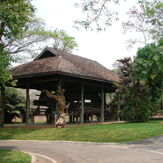ชมศิลปะวัฒนธรรมล้านนา