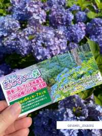 【茨城】日本最大級！？北茨城あじさいの森に行ってきた！