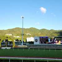 香港必黎景點-沙田馬場一日體驗游