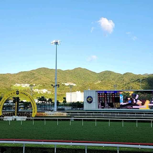 香港必黎景點-沙田馬場一日體驗游