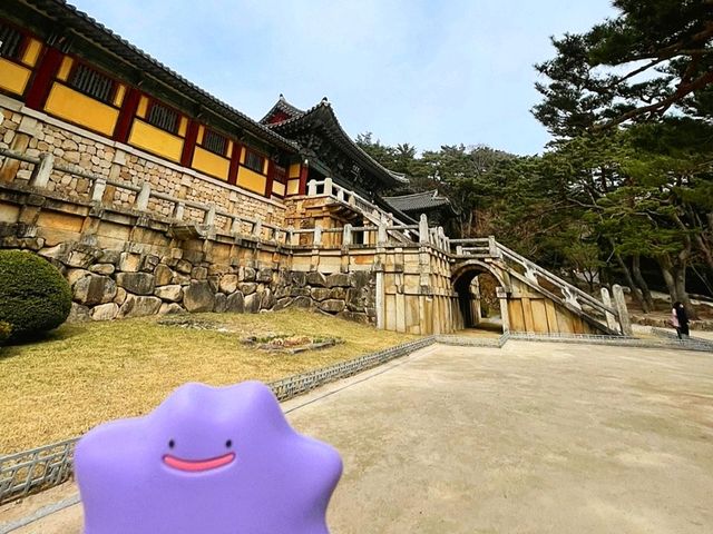 메타몽과 함께한 경주 여행