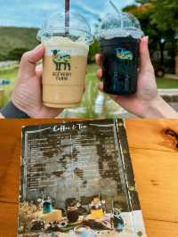📸 รีวิวคาเฟ่ : 𝑻𝒉𝒆 𝑺𝒄𝒆𝒏𝒆𝒓𝒚 𝑽𝒊𝒏𝒕𝒂𝒈