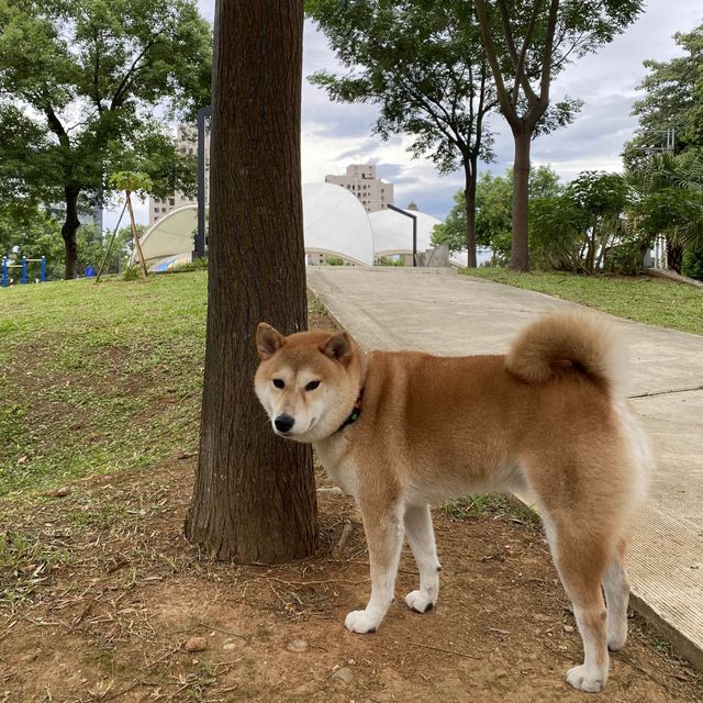 龍潭日出公園🐕