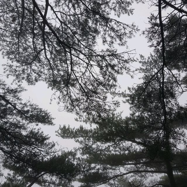 두근두근여름휴가 원주 등산하기 좋은 감악산
