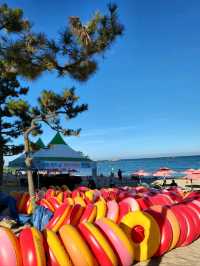 여름핫플! 울산 진하해수욕장🏖