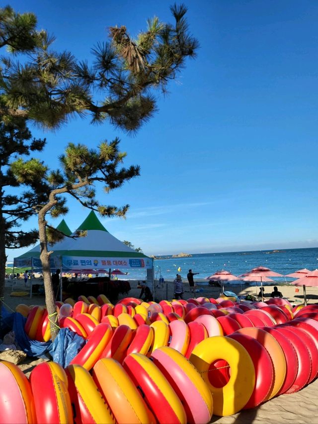 여름핫플! 울산 진하해수욕장🏖