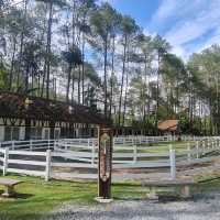 Exploring Fraser Hill Pahang