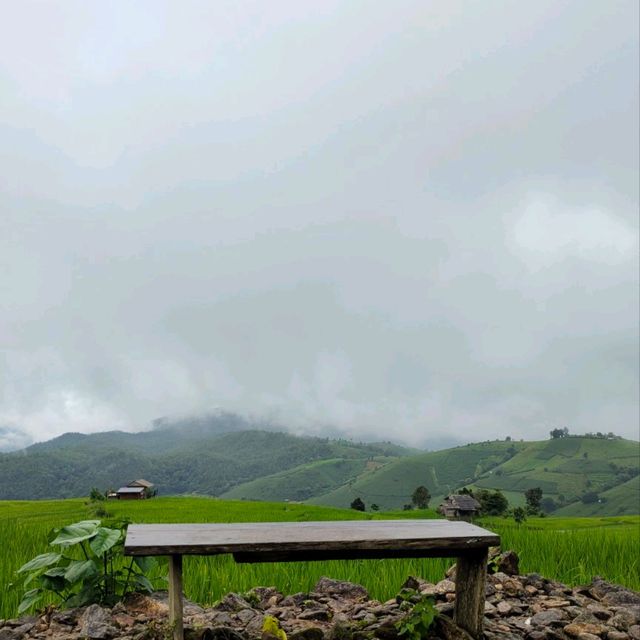 Breathtaking sight Rice Terrece 