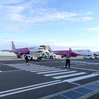 【大阪】ピーチで行く福岡日帰り旅行✈️✈️