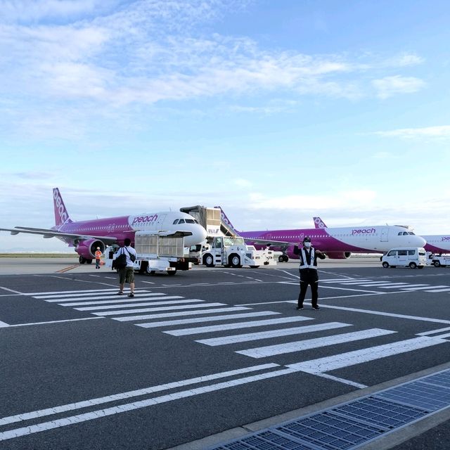 【大阪】ピーチで行く福岡日帰り旅行✈️✈️