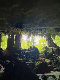 Niah caves- Worth a detour