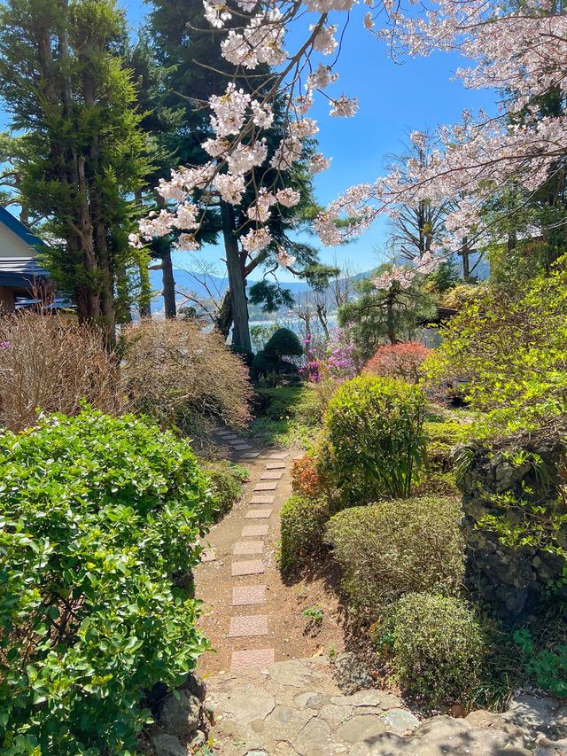 후지산을 한눈에 볼수 있는 일본 여행🏔️