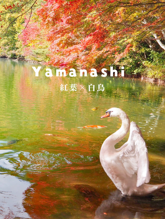 【山梨】映えすぎる溜池