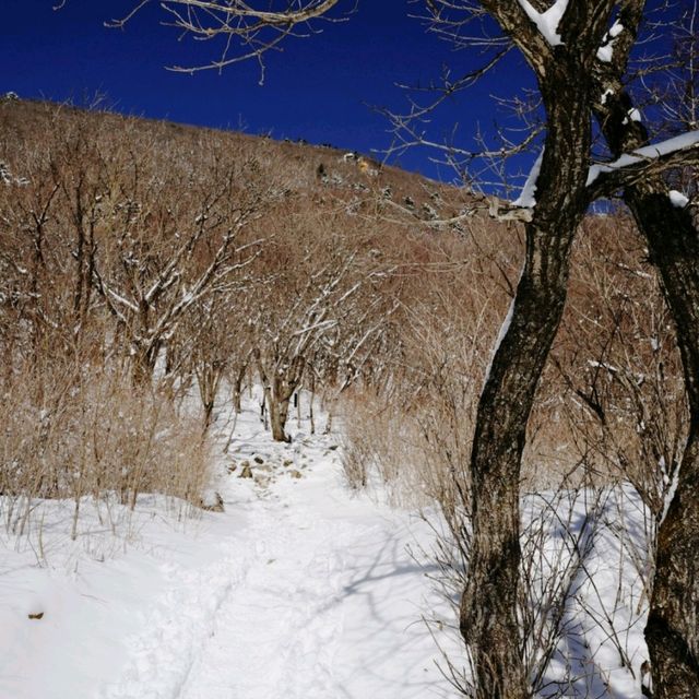 함백산 눈꽃여행 