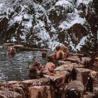 Nagano Japan : ไปกันนะ 