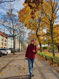 Day trip to Finland by Sea