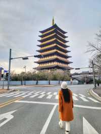 요즘 경주의 랜드마크느낌! 황룡원 중도타워🏯