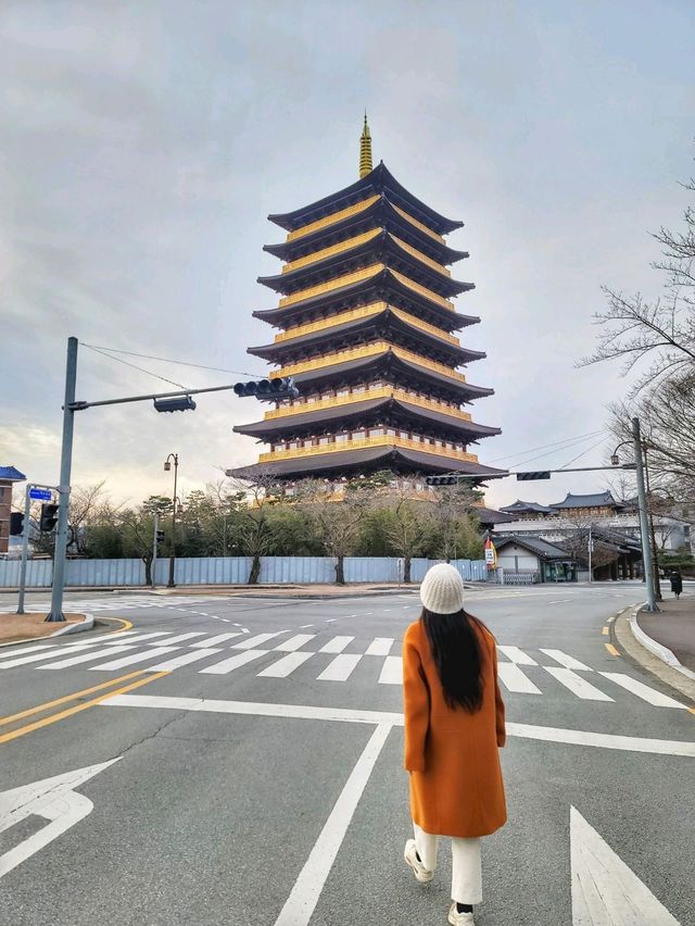요즘 경주의 랜드마크느낌! 황룡원 중도타워🏯