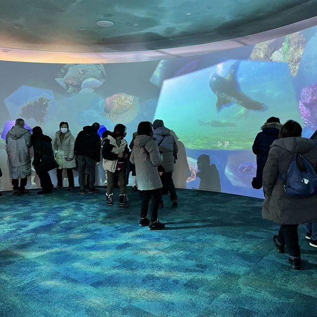 【北海道】本物の流氷を見て触れて楽しめる