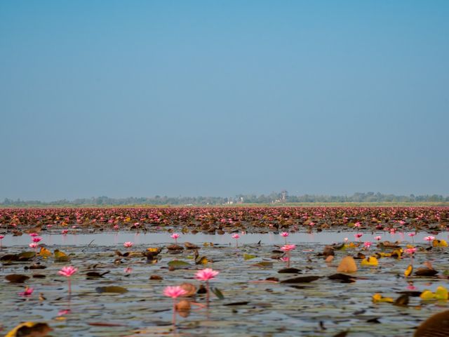 Red Lotus Lake, Udorn Thani - Unseen Thailand Red Lotus Lake, Udorn Thani - Unseen Thailand