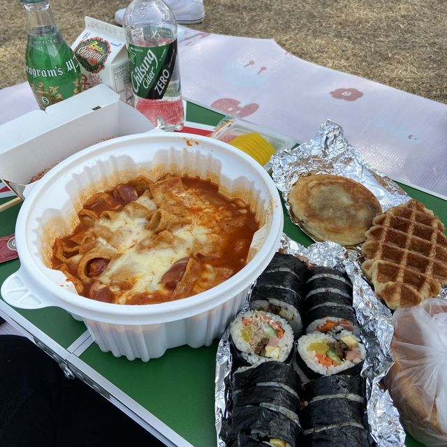 대전 피크닉 명소, 대전엑스포시민광장(남문광장) 주차장 등