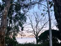ArvoWalk!😉😜Matilda Bay & St GeorgeCollege😎