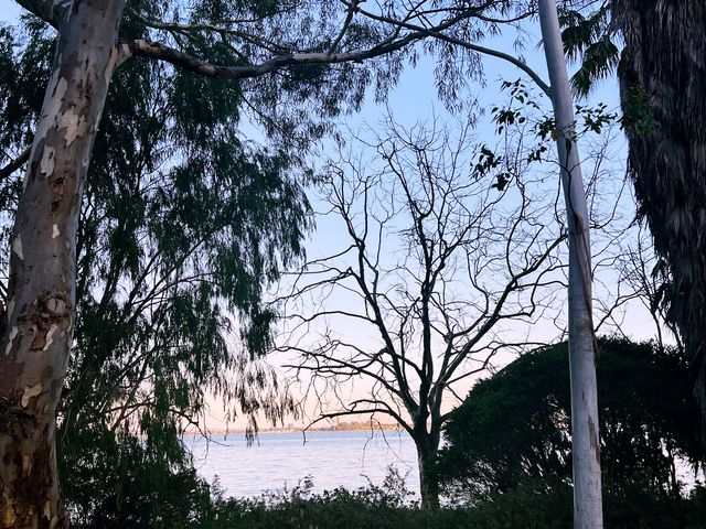 ArvoWalk!😉😜Matilda Bay & St GeorgeCollege😎