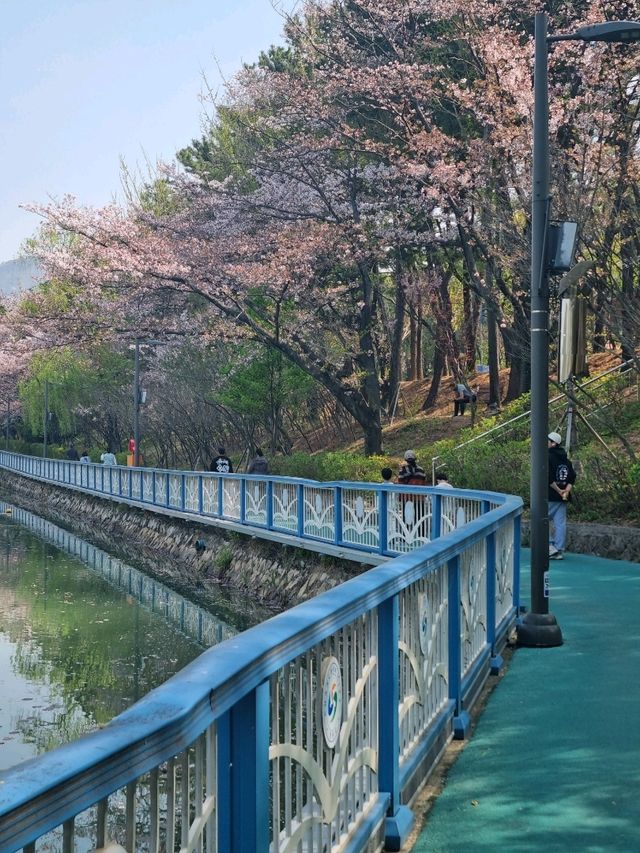 맘껏 뛰놀수 있는 호수공원