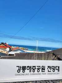 해중공원전망대에서 바라보는 강릉오션뷰는 최고🌊