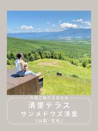 【長野】わんこと行ける絶景スポット🌿