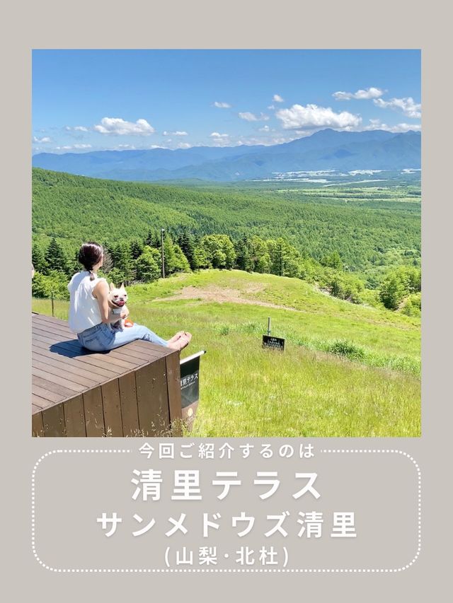 【長野】わんこと行ける絶景スポット🌿