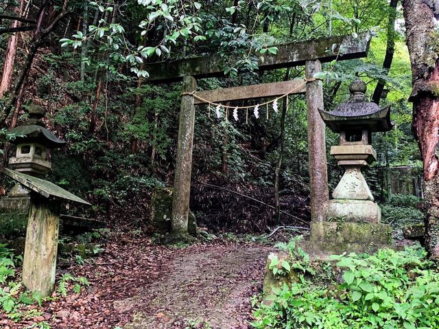 เดินป่าสำรวจอุทยานธรรมชาติ บนภูเขา🌳🏕️